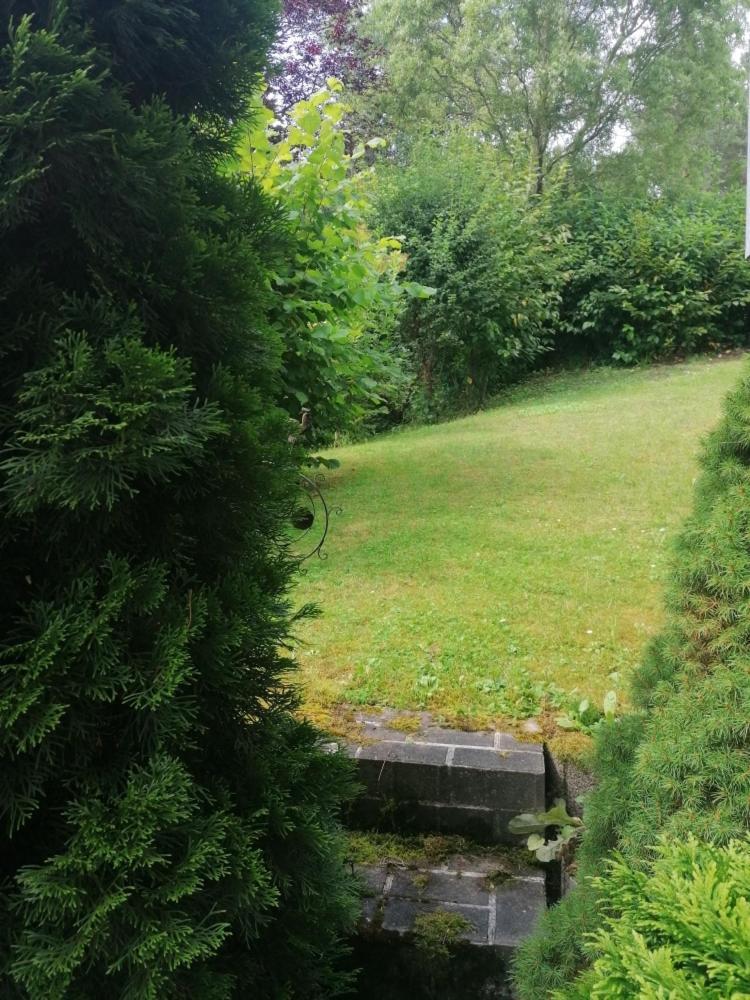 Fewo Grenzenlos In Ramsberg Pleinfeld Buitenkant foto